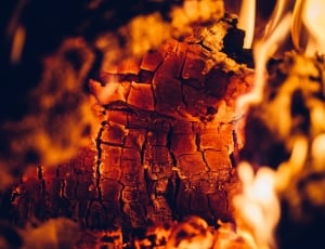 burned wood thumbnail