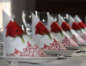 Restaurant, Table Settings, red, no people thumbnail