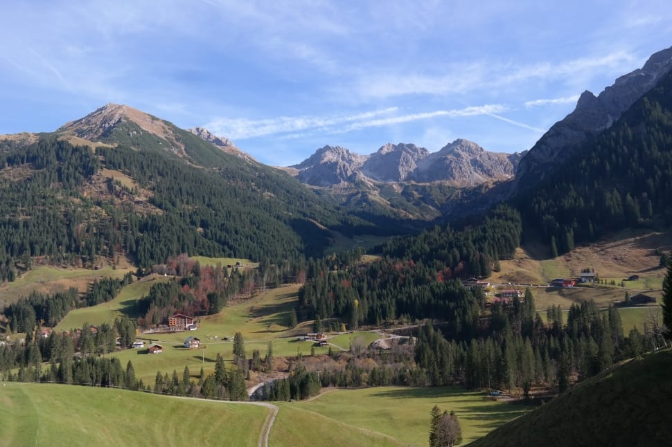 Walser Hammer Top, Sheep Alps Heads, mountain, landscape preview