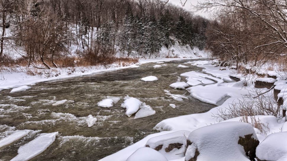 river near trees during winter season preview