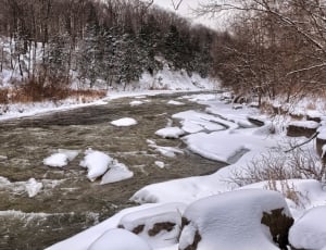 river near trees during winter season thumbnail