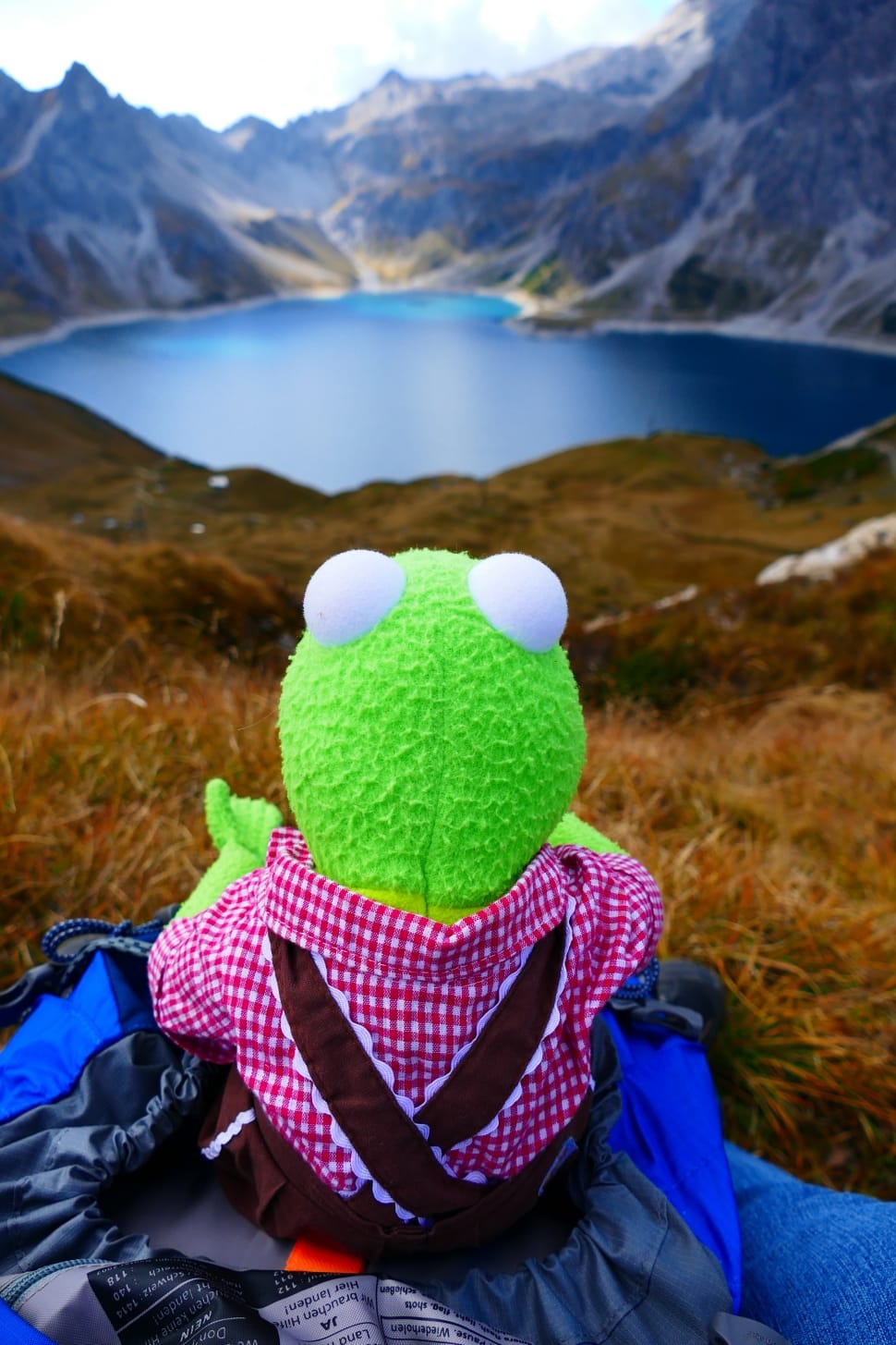 kermit the frog plush toy near blue body of water surrounded by mountains during daytime preview