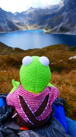 kermit the frog plush toy near blue body of water surrounded by mountains during daytime thumbnail