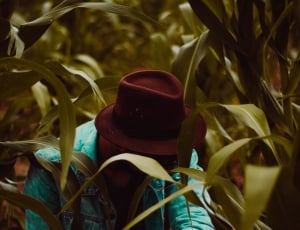 people, denim, jacket, hat, plant, agriculture thumbnail
