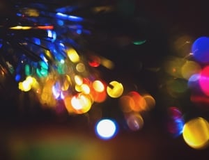 Light, Christmas Tree, Christmas, Tree, illuminated, defocused thumbnail