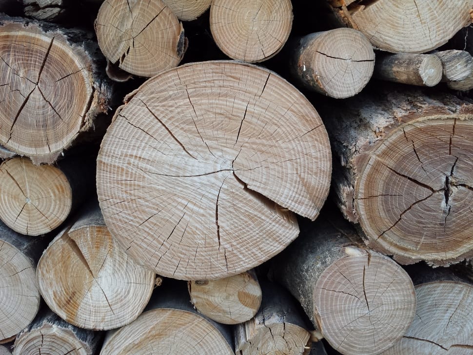 wood logs preview