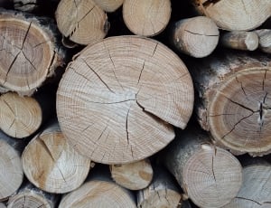 wood logs thumbnail