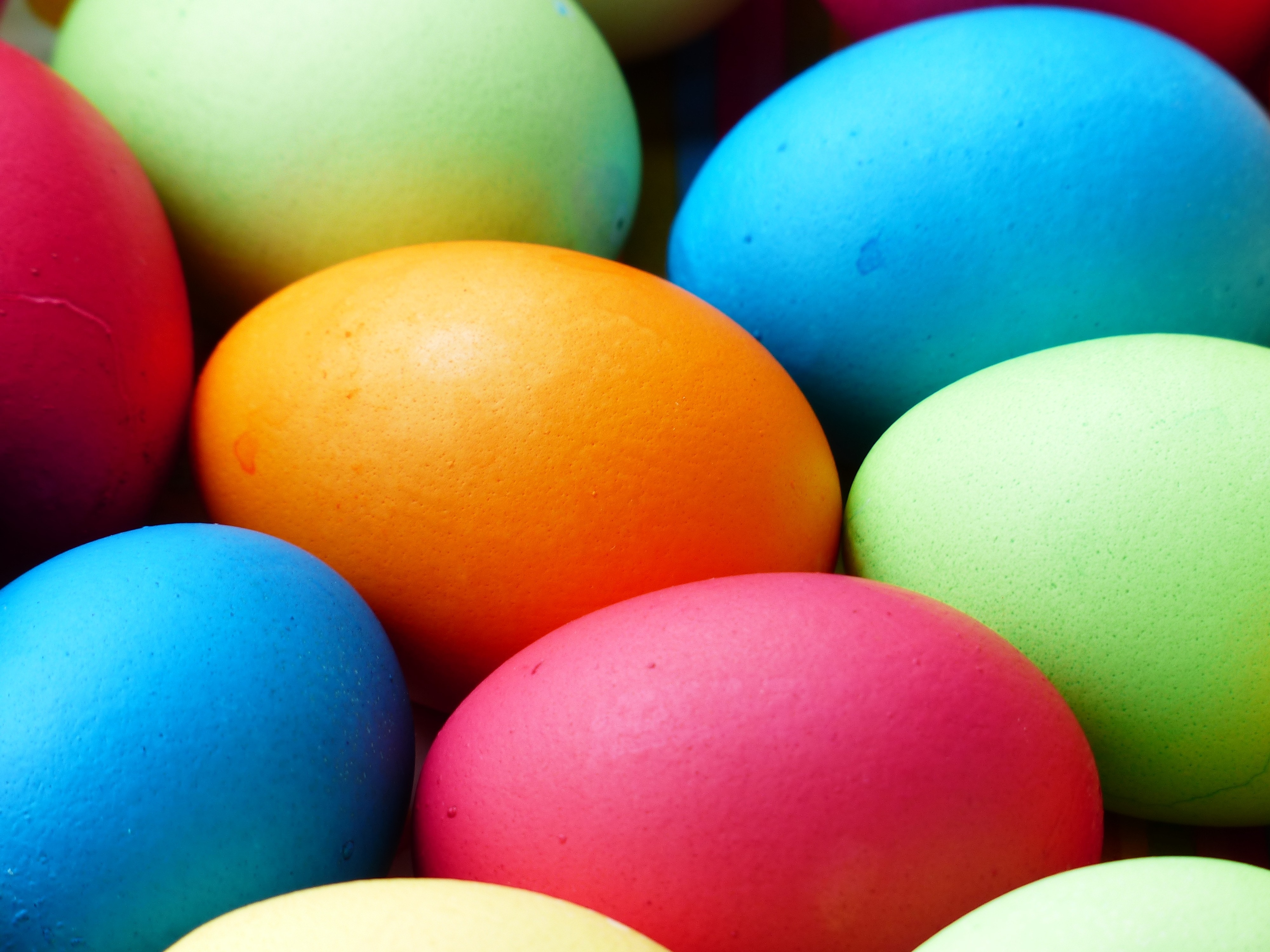 assorted color egg lot