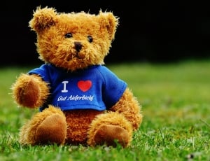 Teddy, Good Aiderbichl, Sanctuary, teddy bear, toy thumbnail