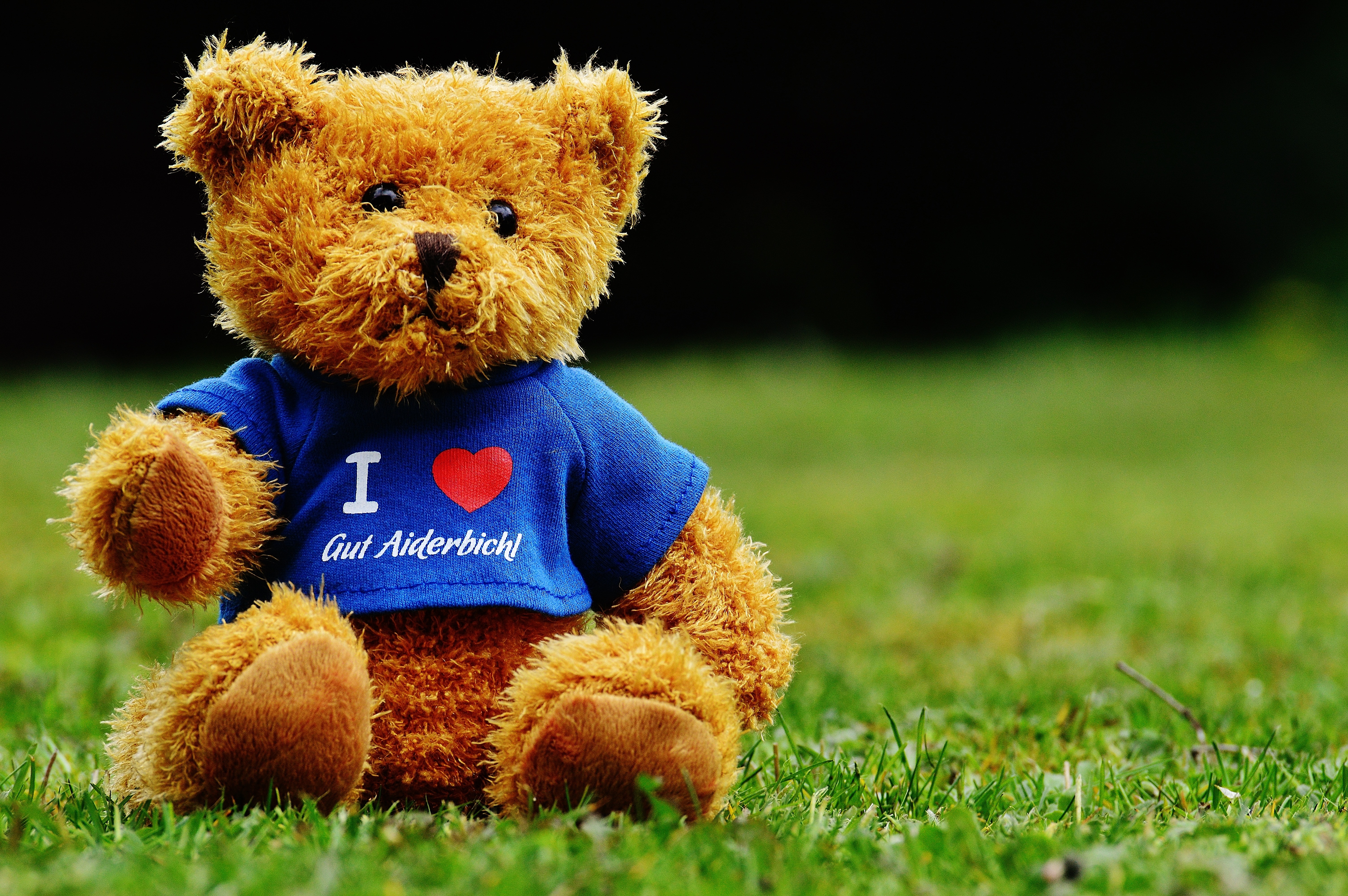 Teddy, Good Aiderbichl, Sanctuary, teddy bear, toy