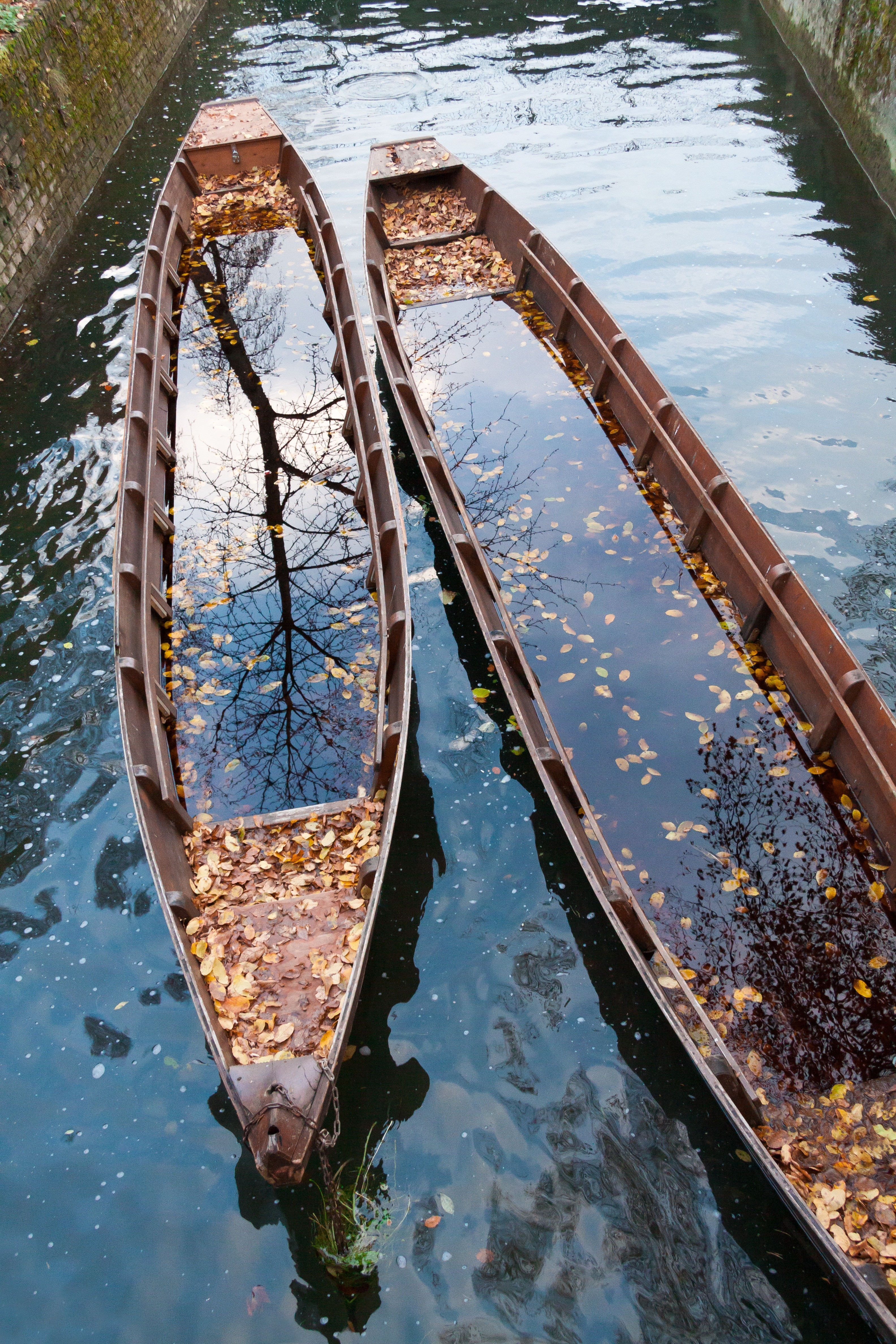 2 brown row boats