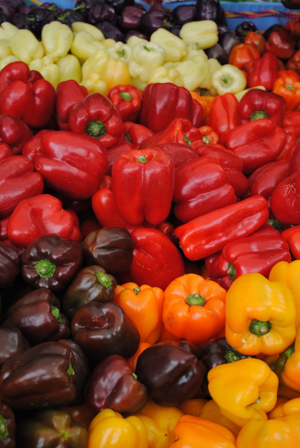 bell pepper lot preview