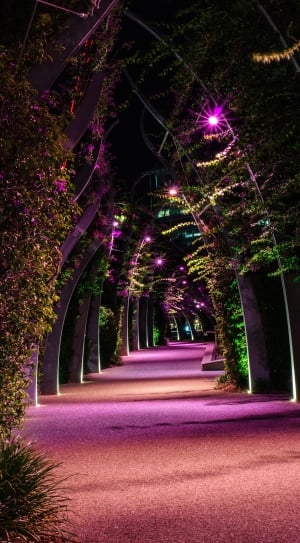green and purple pathway thumbnail