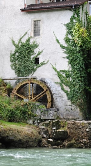 brown watermill near plants and house thumbnail