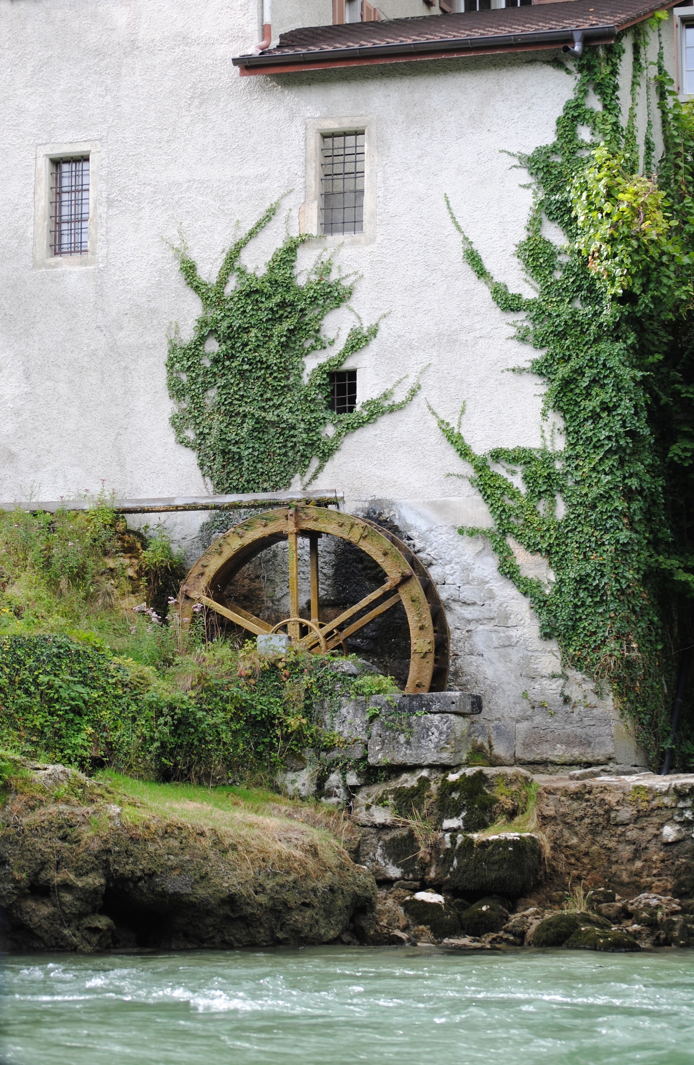 brown watermill near plants and house