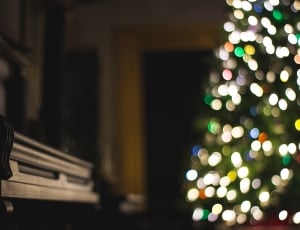 black wooden grandpiano near christmas tree thumbnail