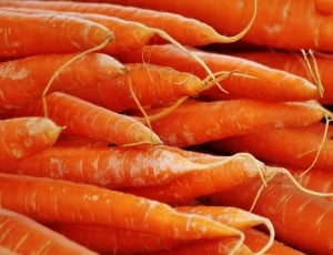 orange carrots vegetables lot thumbnail