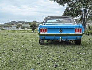 blue classic car on green grass field thumbnail
