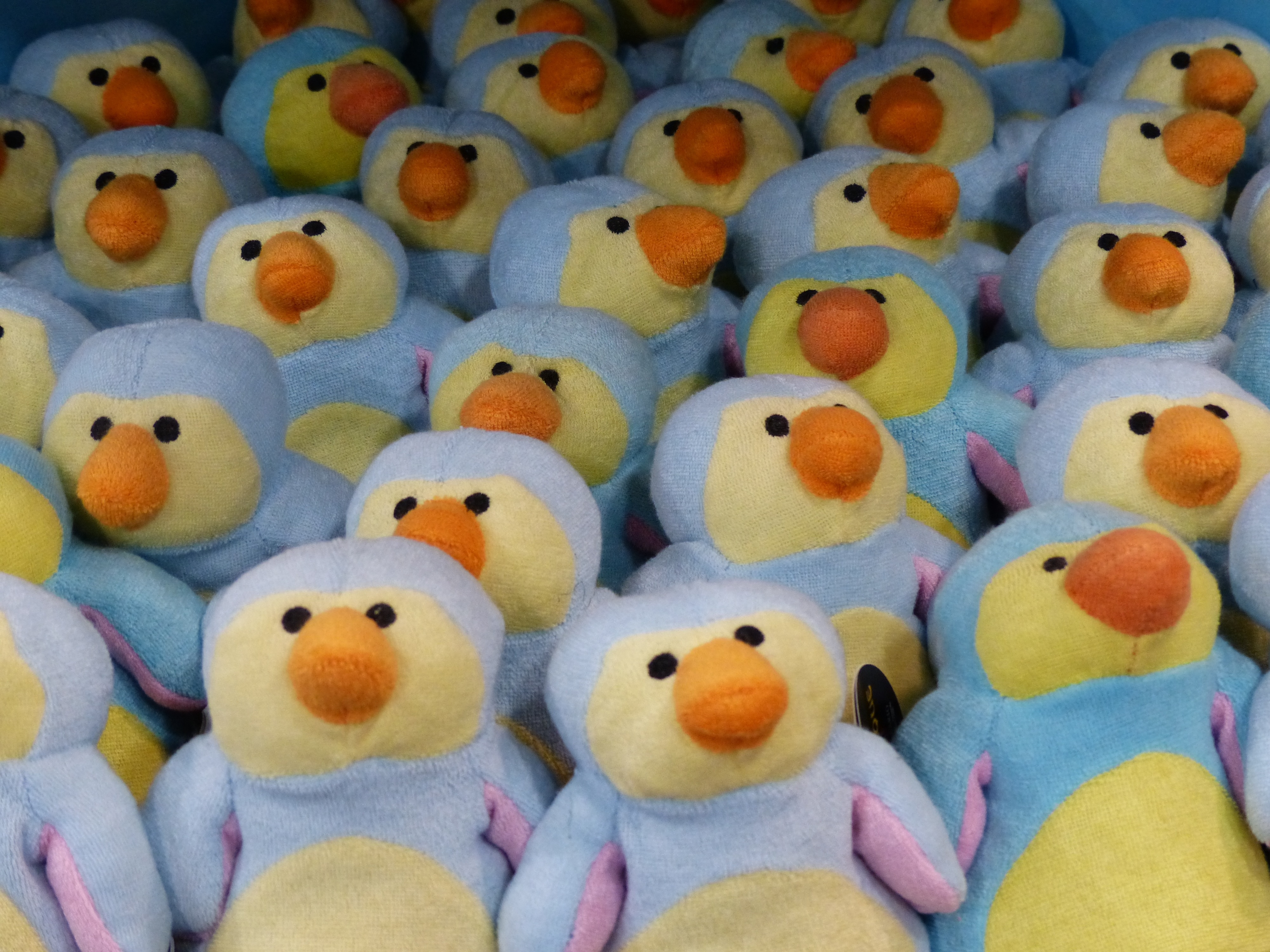 teal and yellow penguin plush toys