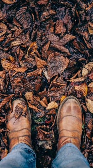 person wearing brown boots stepping on brown leaves thumbnail