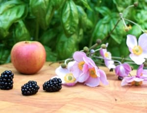 pink anemone poppies with grapes and apples thumbnail