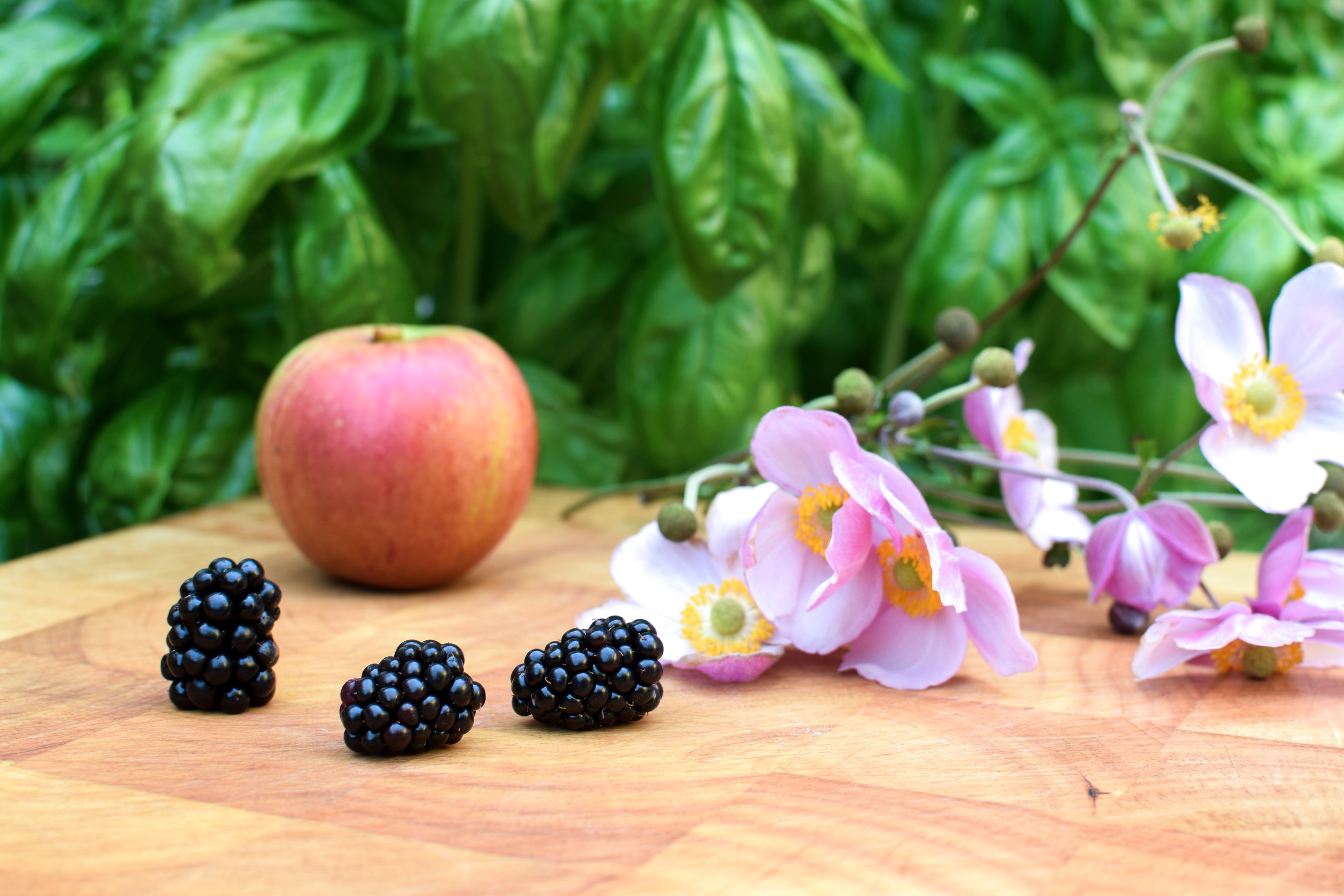pink anemone poppies with grapes and apples