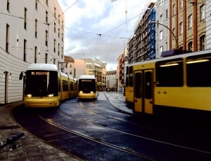 3 yellow trams thumbnail