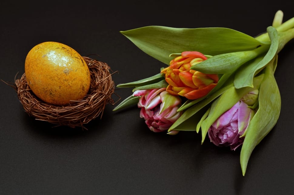 pink and orange tulips and brown egg with nest preview