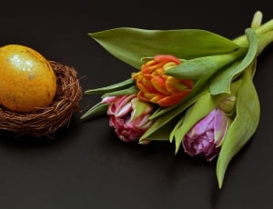 pink and orange tulips and brown egg with nest thumbnail
