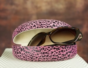 brown frame sun glasses and case thumbnail