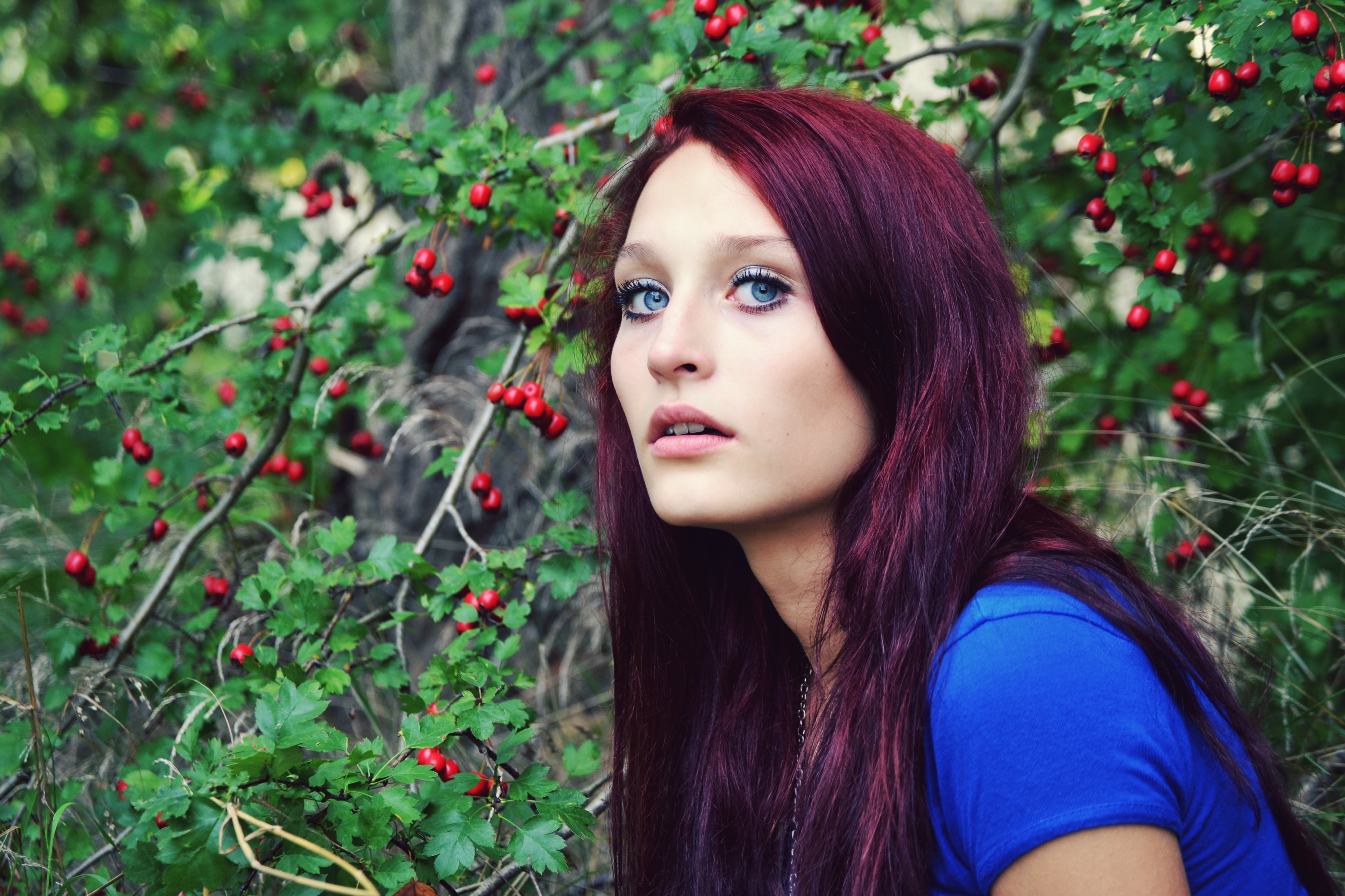 Глазами ягодка. Девушки. Девушка с красными глазами. Красное дерево цвет волос с голубыми глазами. Красивые фотосессии девушек с ягодами в волосах.