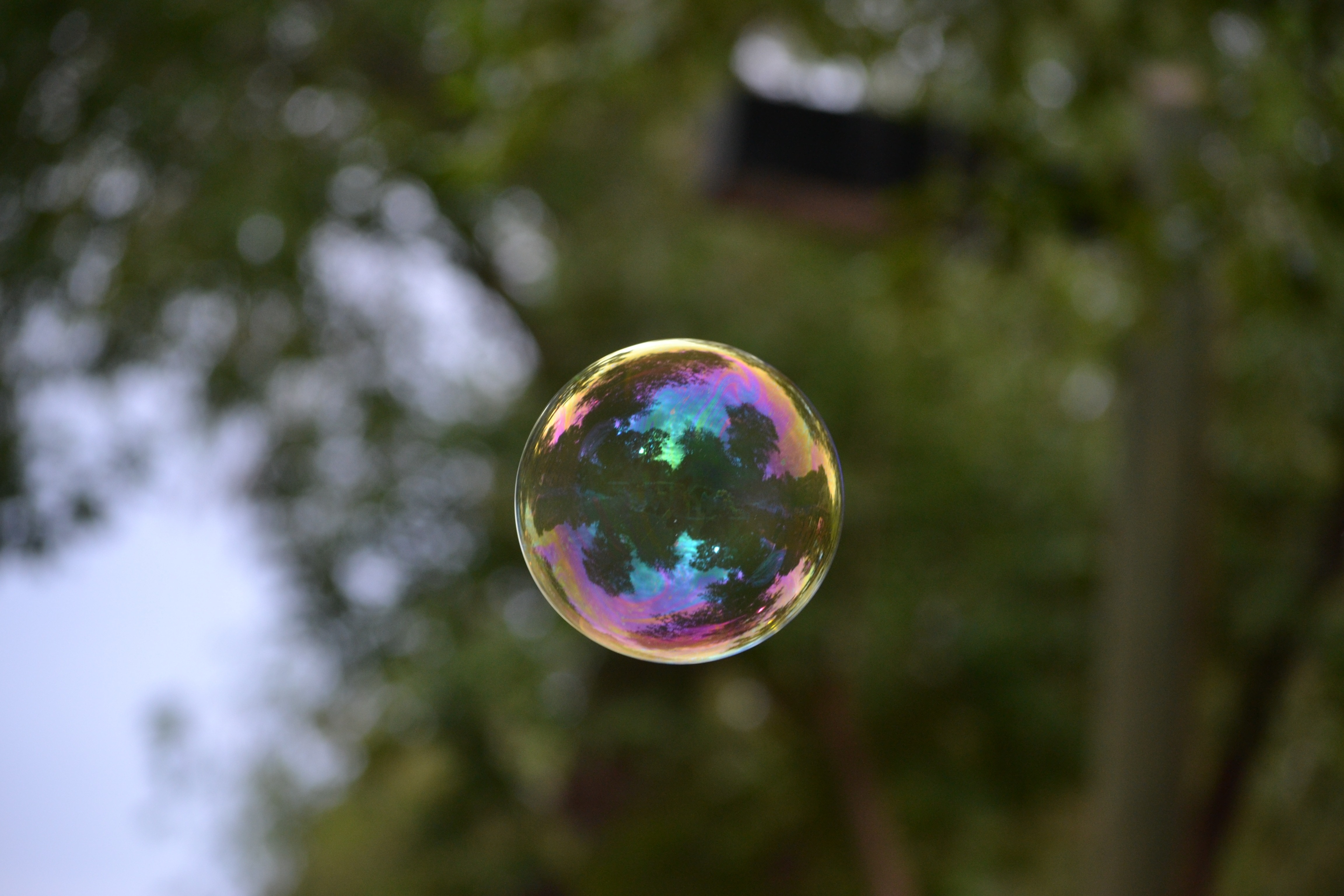 Bubble, Green, Day, Soap, Nature, bubble, bubble wand