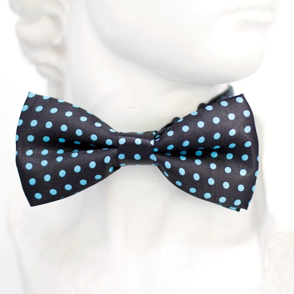 black and teal bowtie preview