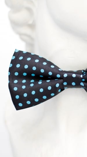 black and teal bowtie thumbnail