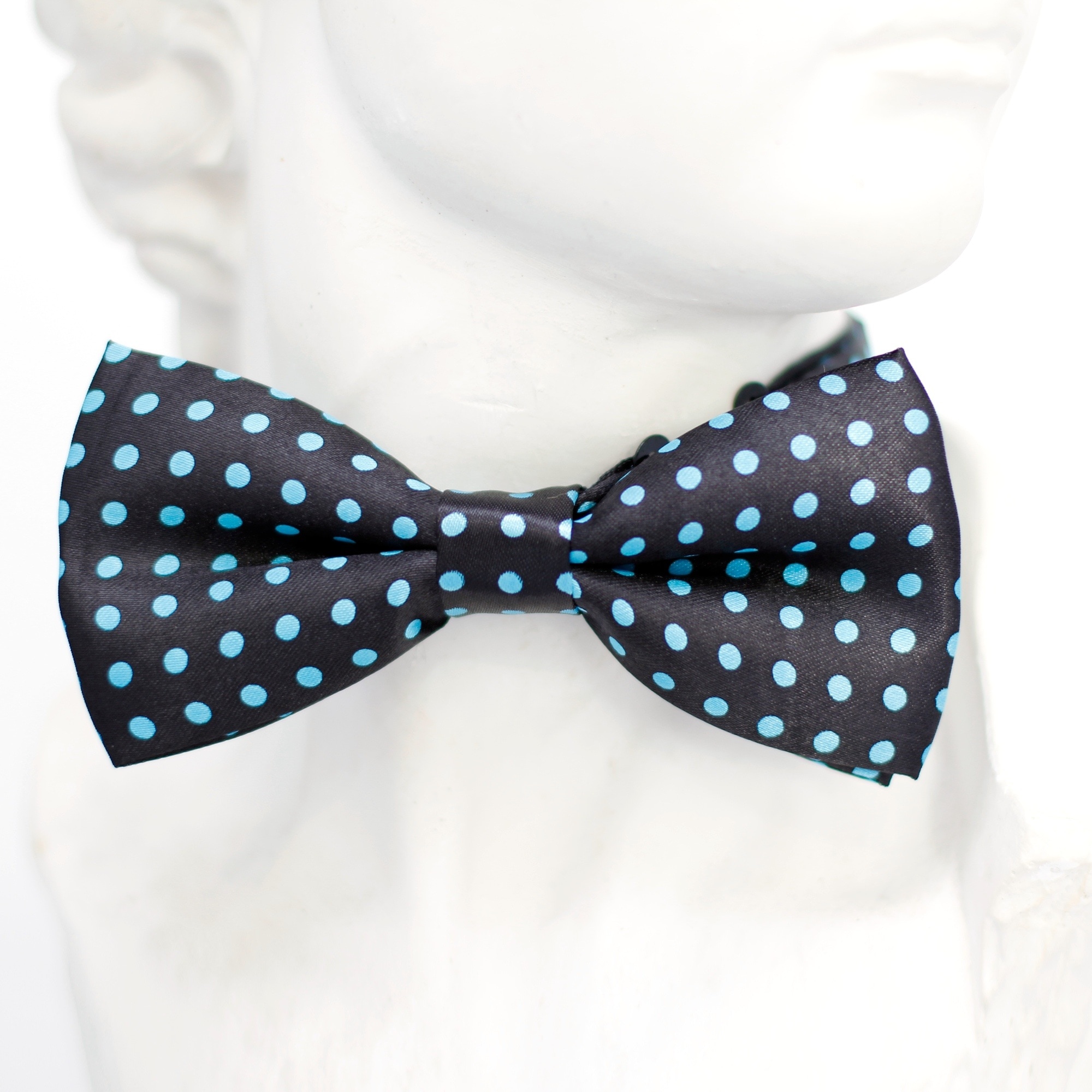 black and teal bowtie