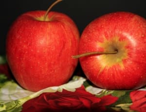 2 red apples thumbnail