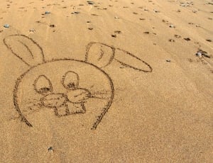 rabbit print on brown sands thumbnail