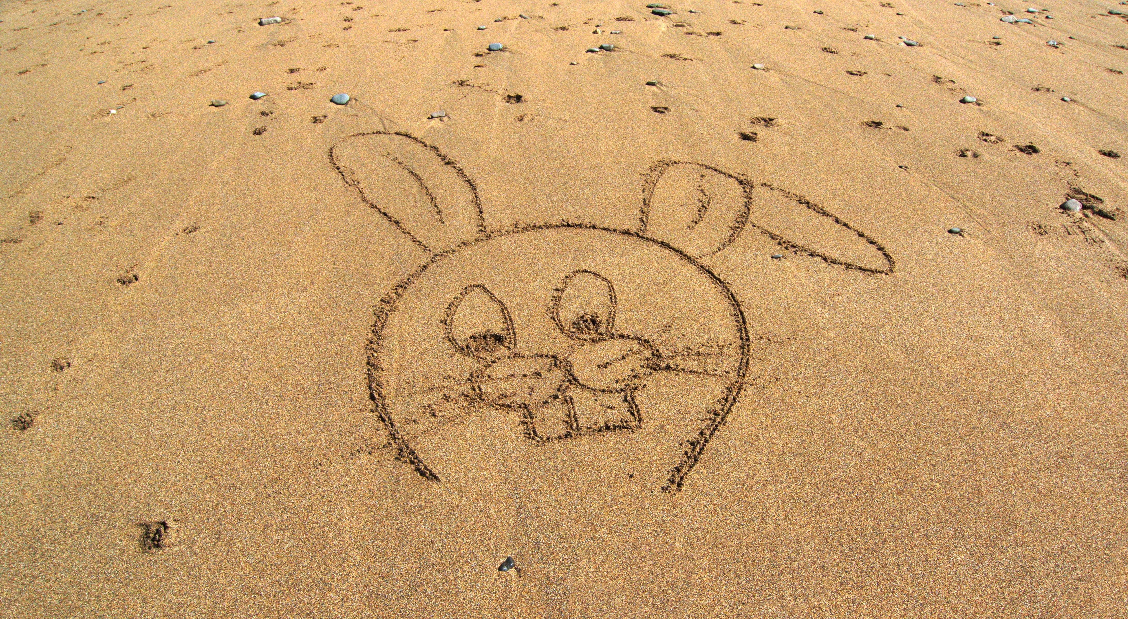 rabbit print on brown sands