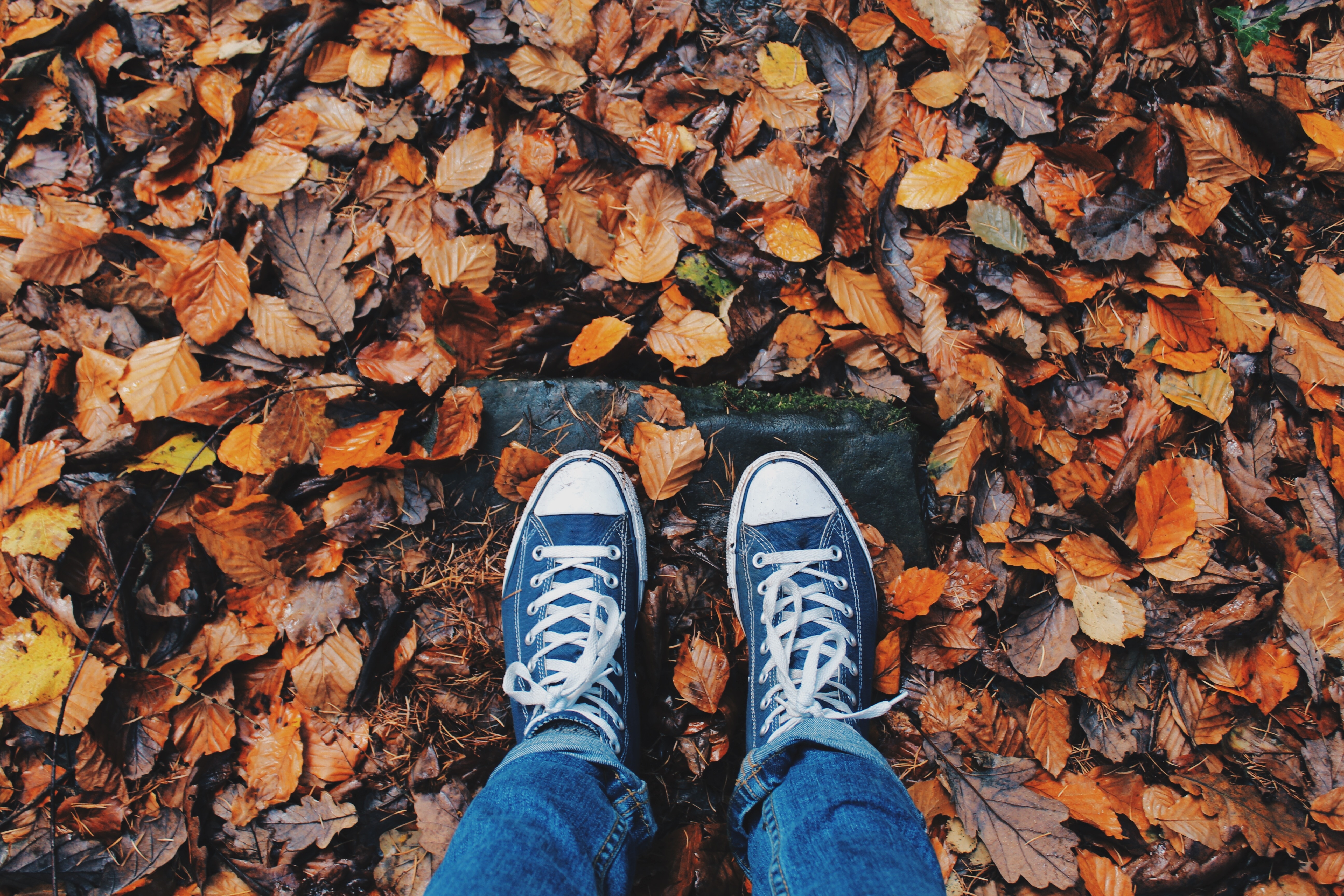 Foliage, Shoes, Autumn, Feet, Hipster, autumn, shoe