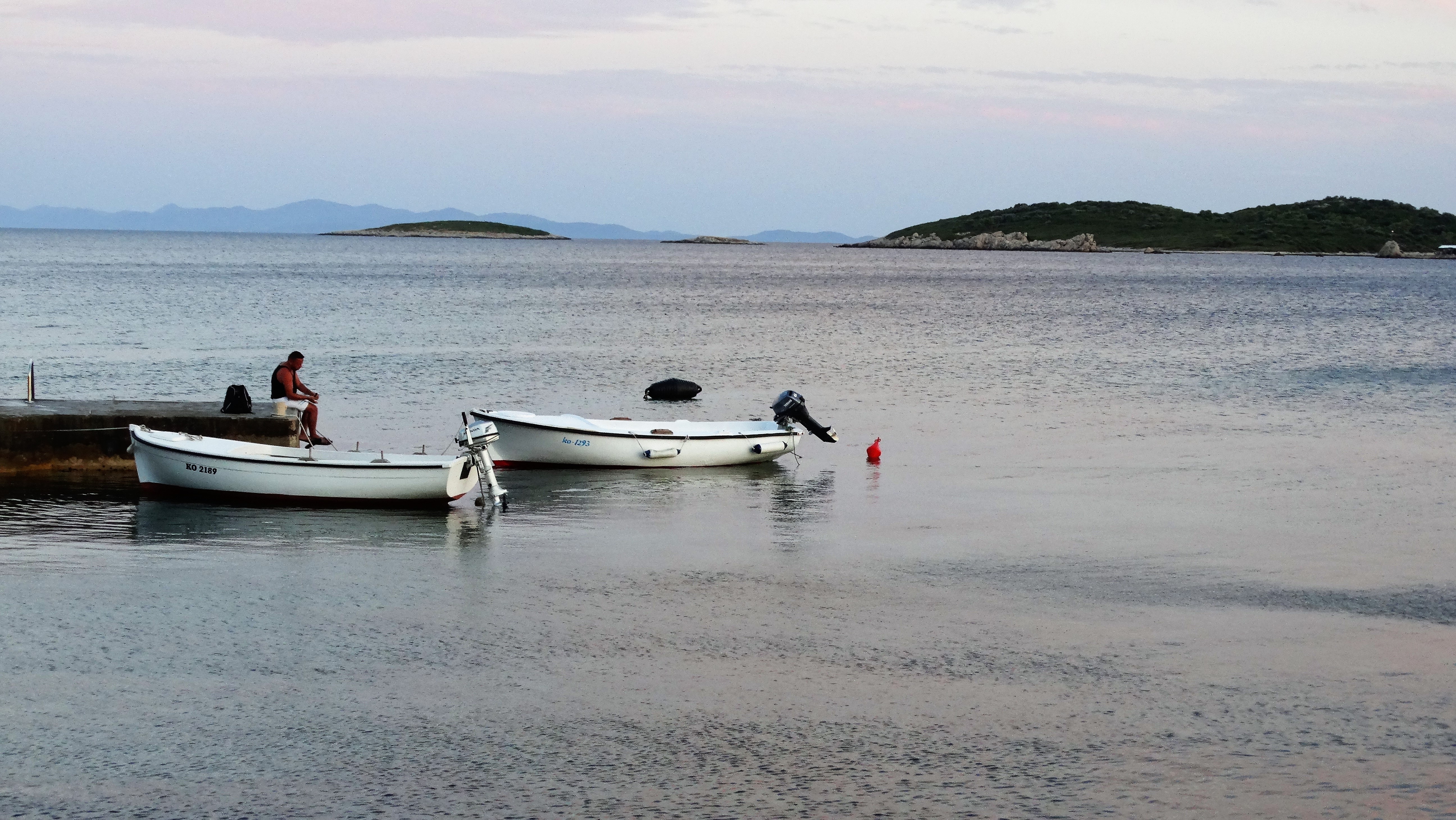 two white speedboats near wooden dock