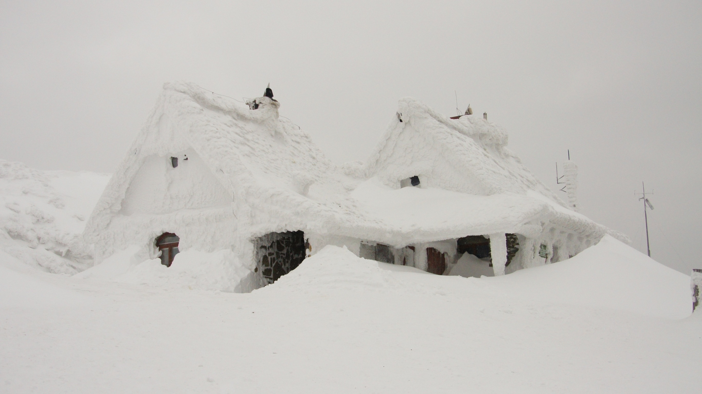 2 houses covered with snows