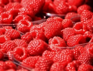 red fruits closeup photo thumbnail