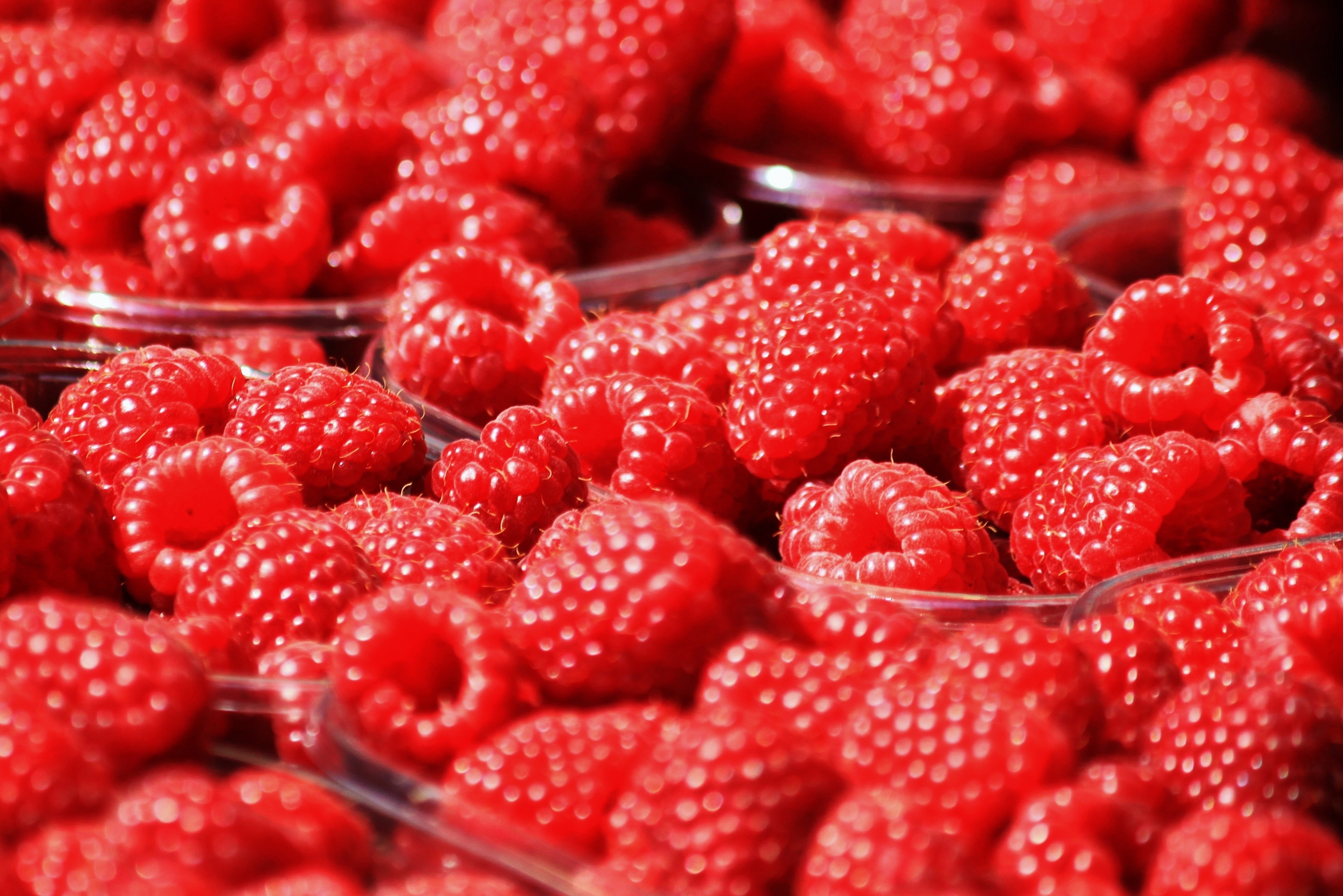 壁纸 红树莓微距摄影，水果特写 3840x2160 UHD 4K 高清壁纸, 图片, 照片