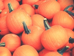 stack of orange pumpkins thumbnail