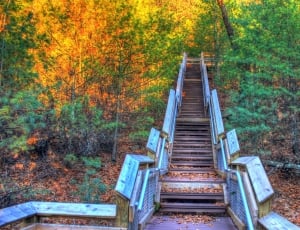 blue and brown wooden stairs thumbnail