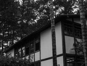 grayscale photo of white and black house thumbnail