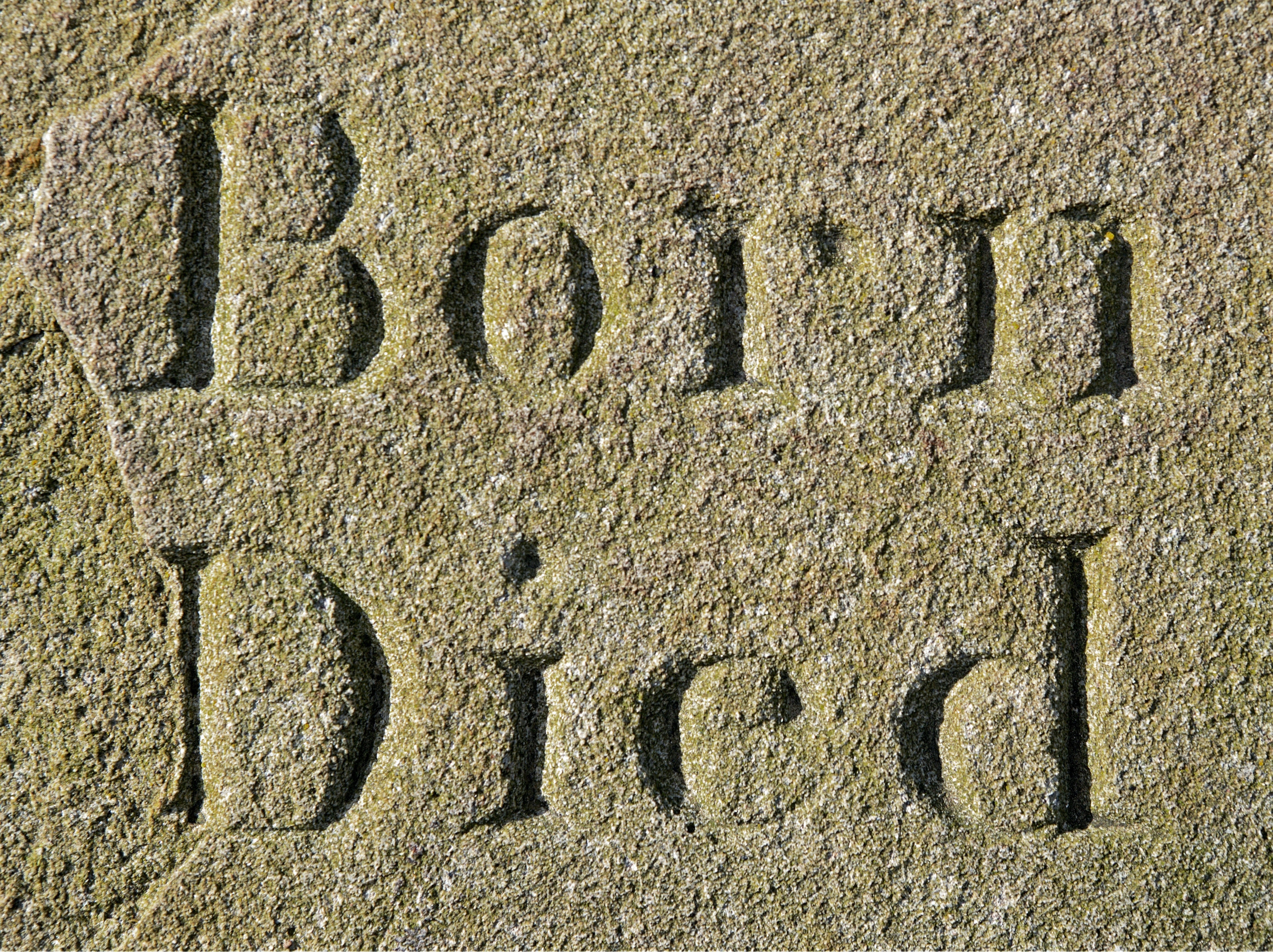 grey born died tombstone