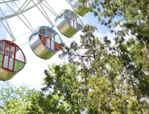 Summer, Park, Ferris Wheel, Vacation, tree, low angle view thumbnail