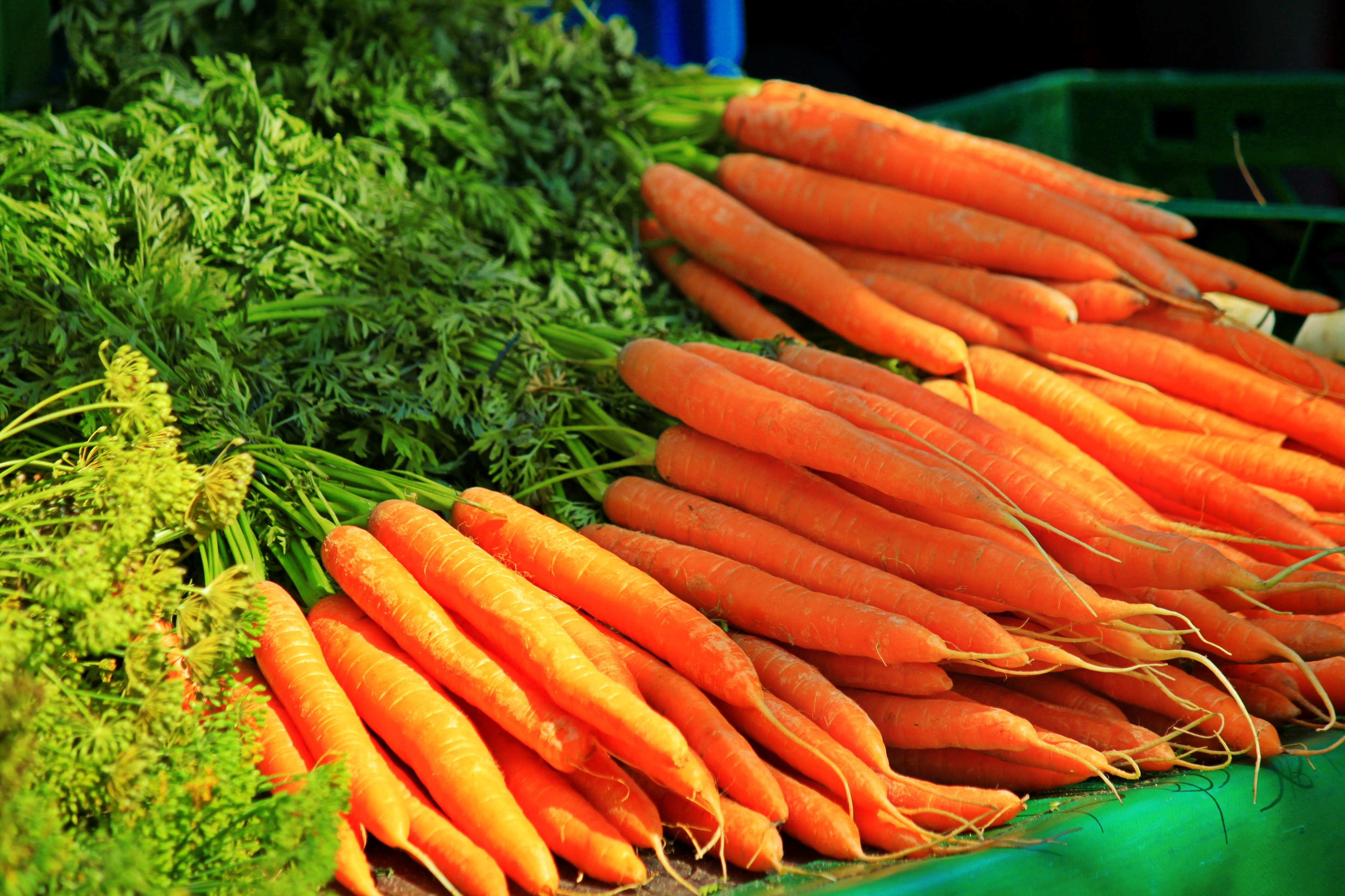 Carrots, Healthy, Vegetables, carrot, vegetable