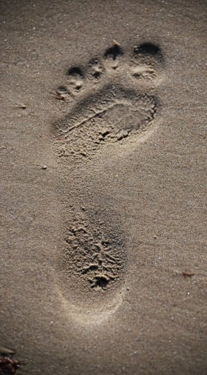 footprint on sand thumbnail